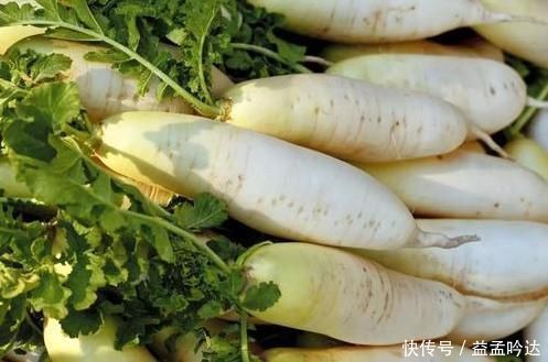 冬天要多吃白萝卜,买白萝卜时,牢记3个技巧,不怕买到糠心萝卜