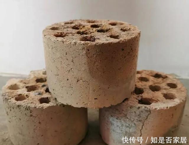 花都|牛人养花，常用这4种小东西，养花土里掺一点，啥花都能养爆盆