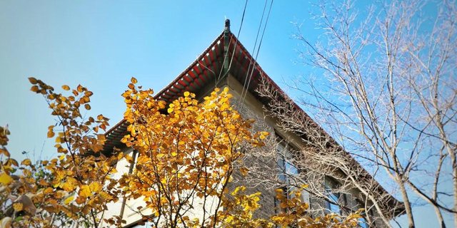 带你走进山东大学，在那里学习是什么样的体验