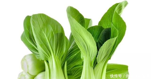 身體|建議中老年少買保健品,6種食物天然營養,三天兩頭吃一些身體好!