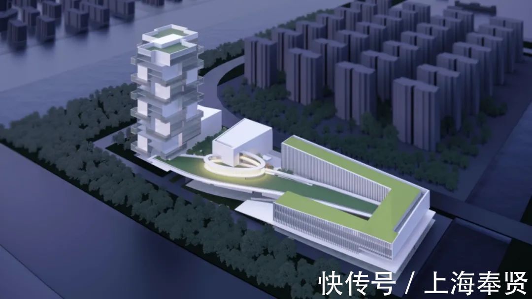 配套|一次性说清楚!金汇镇功能配套项目,时间点都在这了
