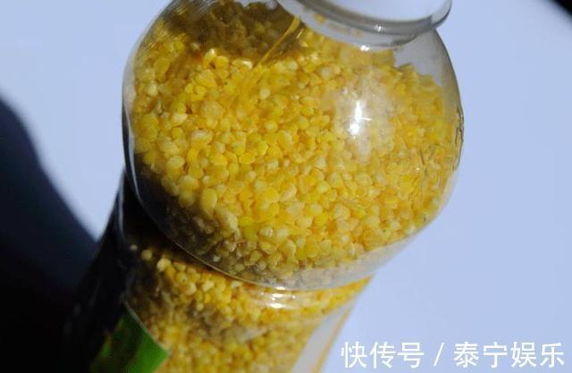 钓鱼打窝料还靠买不妨自己在家做,取材方便效果绝佳!