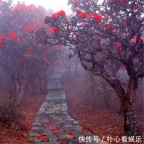 委屈|愿为妻子遮风挡雨3生肖，受尽生活的委屈，也不愿她们受委屈