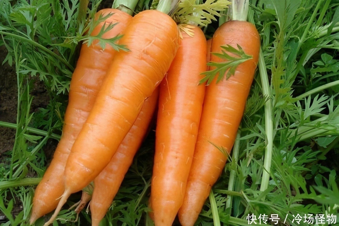 食物|人到中年想长寿,不妨多吃3种食物,排毒养颜、滋润肌肤