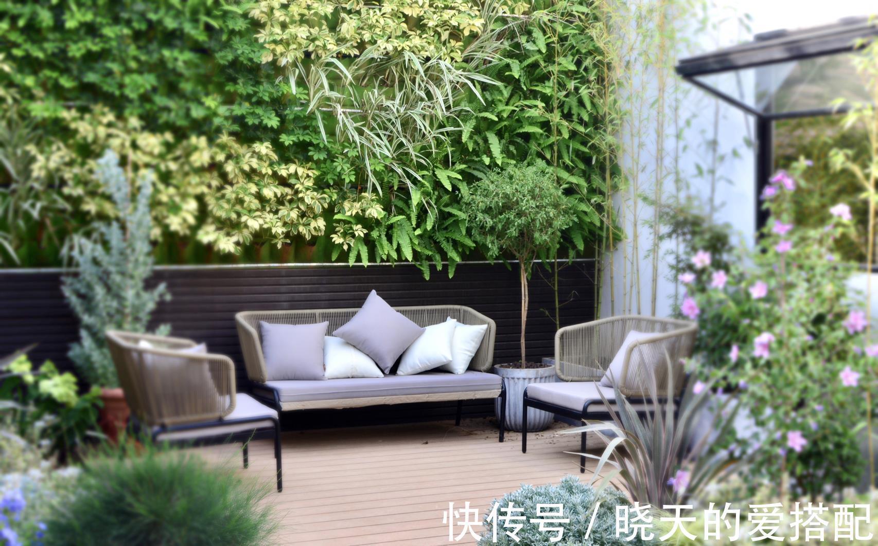 治愈系|小空间庭院花园,正确的绿植搭配技巧,让小院落变身治愈系小花园