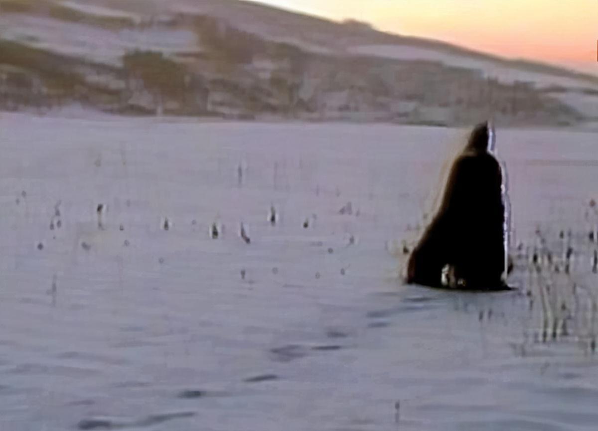 中秋夜宴@红楼梦:诡异凄凉的中秋夜宴,预示贾府抄家日期和林黛玉魂归时间