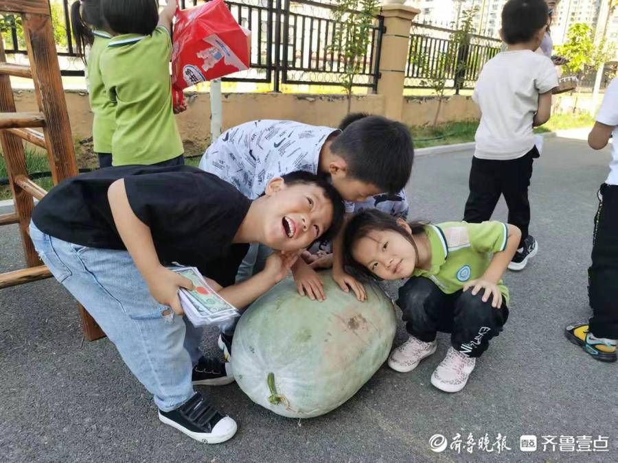 东营区黄河幼儿园|东营区黄河幼儿园开展丰收节主题活动