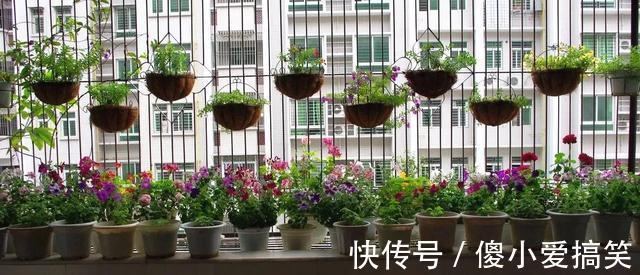 花园|3平米小阳台,也能变花园,有露台、阳台的千万别浪费!