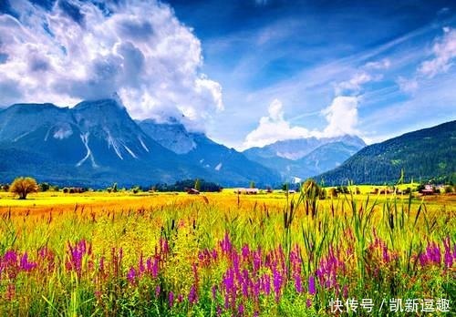 写出|唐代一位不出名的诗人,却用一首古诗,写出了最美的夏日风景