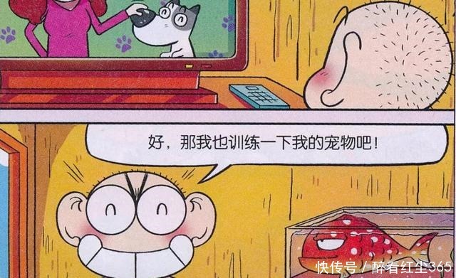 训练|爆笑校园呆头用心训练“宠物开车”,为何却怒骂电视是骗人的