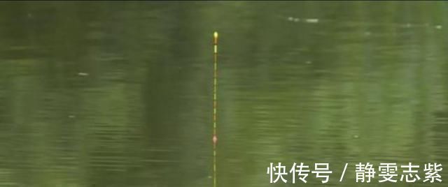 钓鱼“黑”午时不是鱼儿难钓获,而是你方法不对路