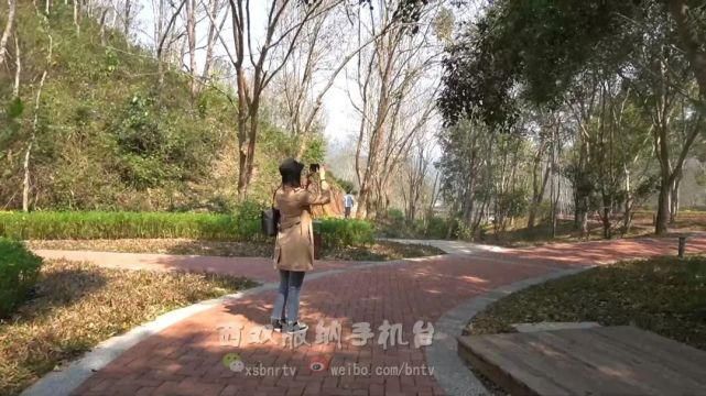 高速公路“新景区” 旅途中处处是风景