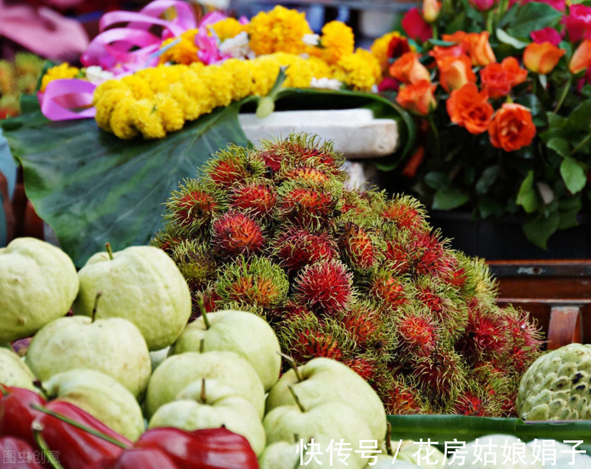 花市|花市买回来的花，会出现各种不适，教你4招，轻松适应新家