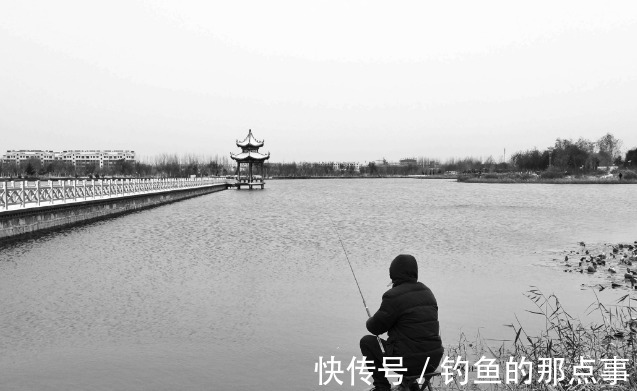 天一冷，大板鲫反而更好钓？实不相瞒，牢记了这几点，想空军都难