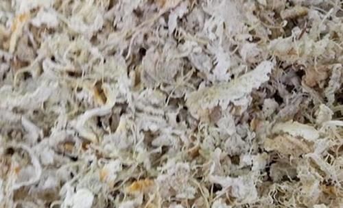 老中医：一个橘子4味药？橘子到底有何好处？为健康了解一下