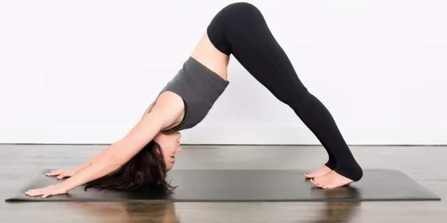 膝盖|瑜伽经典序列之拜日式B,唤醒身体活力的最佳序列