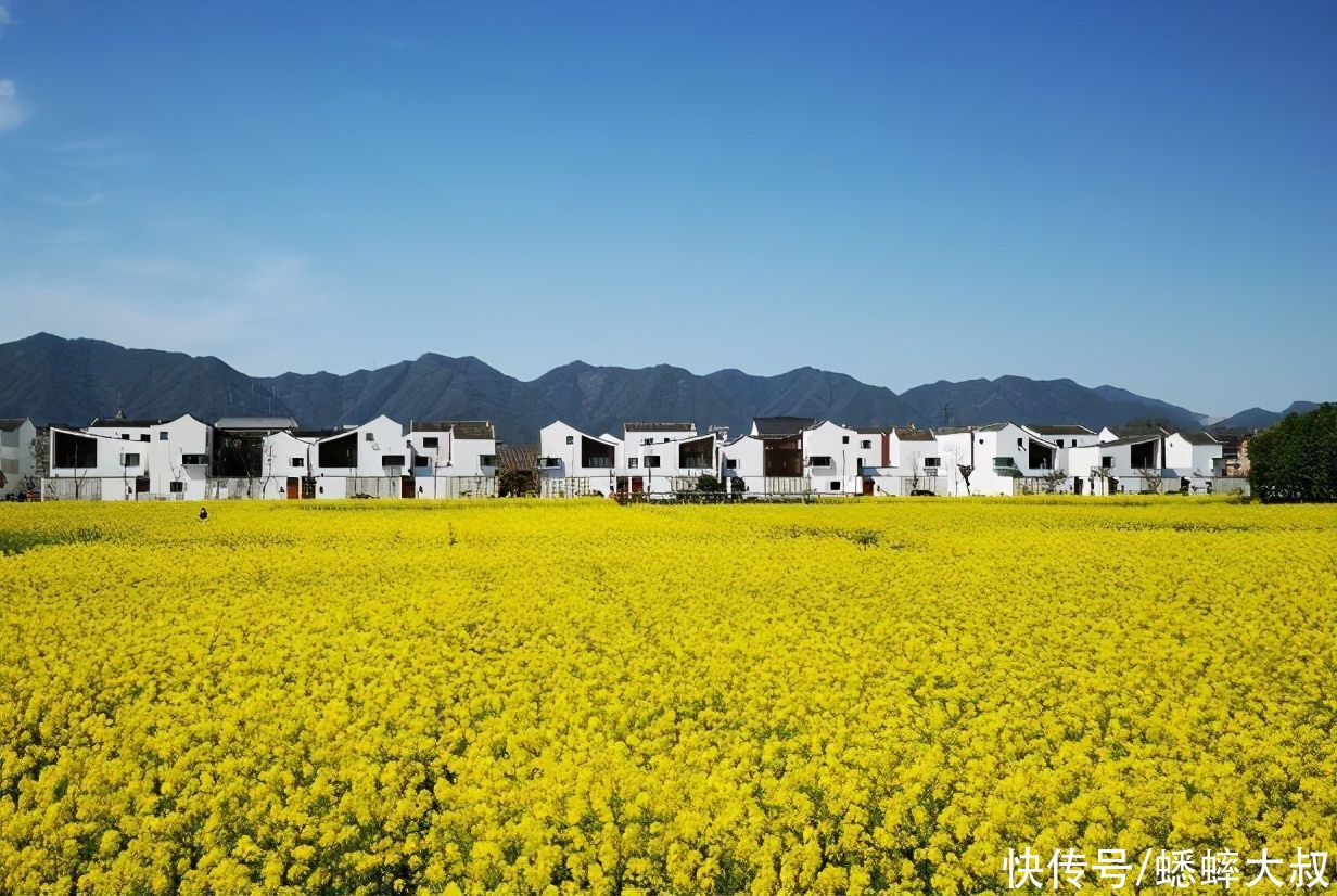 杭州一大师设计的村子出名了，烟柳画桥，风帘翠幕，一片好风光