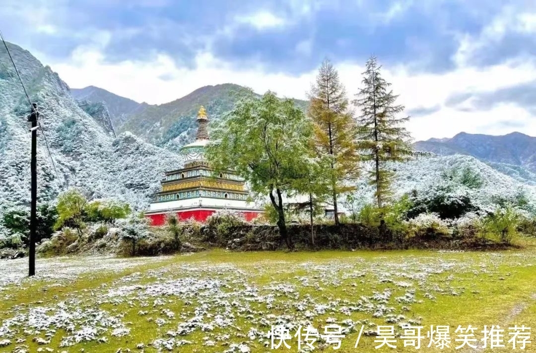 叶飘零|夏河金秋日