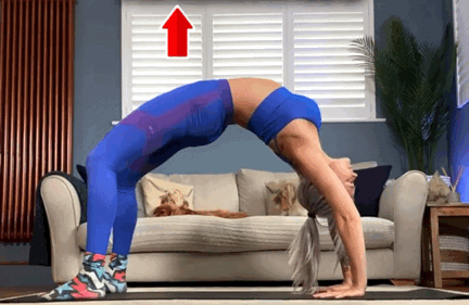 动作|瑜伽轮式推不起来,与身体这个部位有关,90%的人都不知道