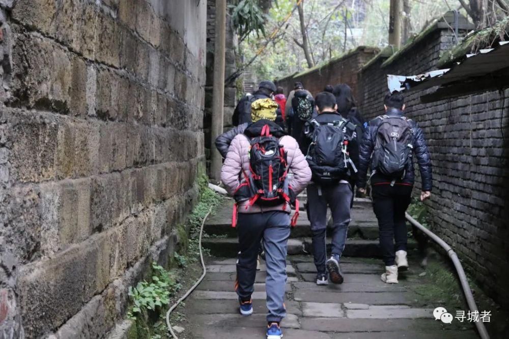 更喜南山千倾野，卅公里后尽开颜