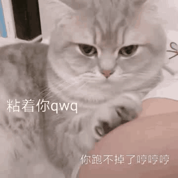 国货护肤：以前的我你爱理不理，现在的我你高攀不起！