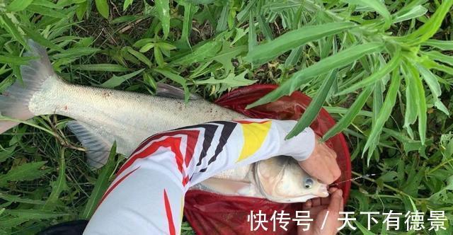 未解之谜|钓鱼中“七大未解之谜”,钓鱼人经常遇到但又没法解释