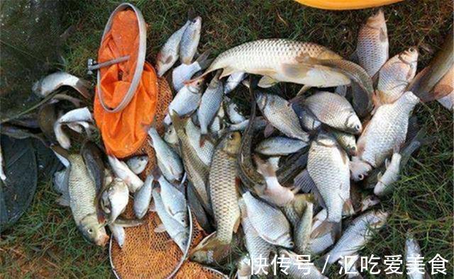 数九寒天,水温更低鱼口更轻,做好这3条,小漂相也能中大鲫