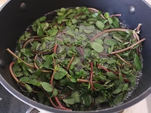 农村到处都有的菜，新鲜的时候没人要，晒干后卖50一斤被疯抢！