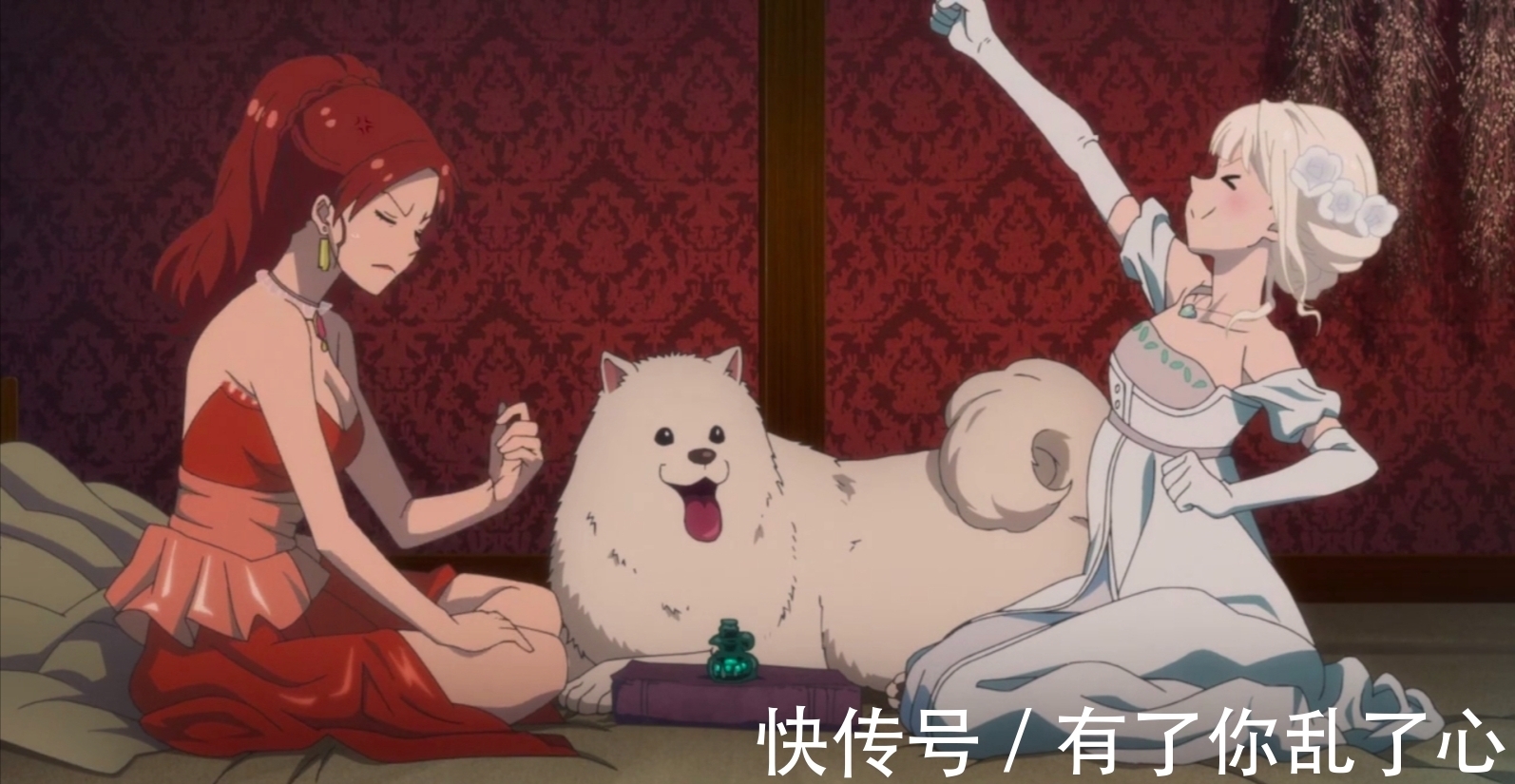 武士|沙雕又可爱，这部新番女主抢了智慧女神的活！打滚名场面都有