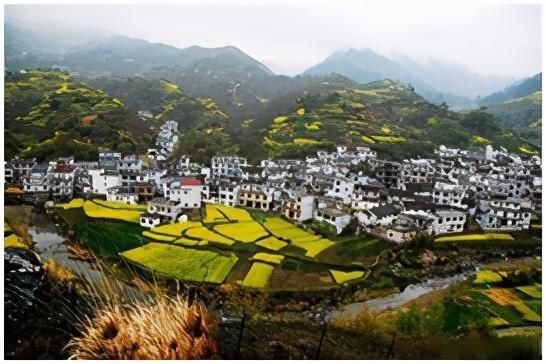 阳山畈|桃花源记-浙江杭州阳山畈村