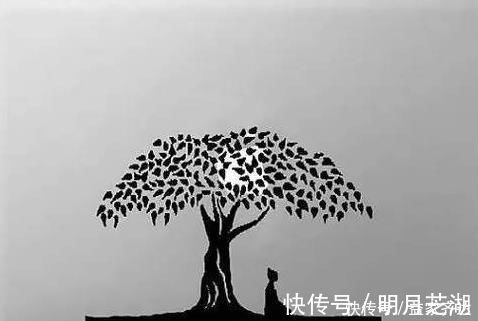 衣钵|“菩提本无树”是什么意思,为什么能助力六祖慧能得到禅宗衣钵?
