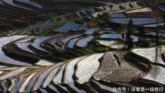 世界遗产云南元阳梯田，建水古城深度4天游