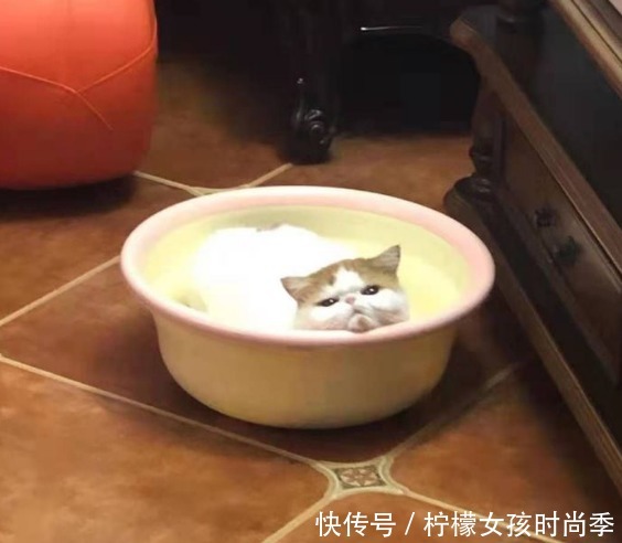 关于洗面奶知识,你了解多少?皂基必然伤脸?氨基酸一定温和?