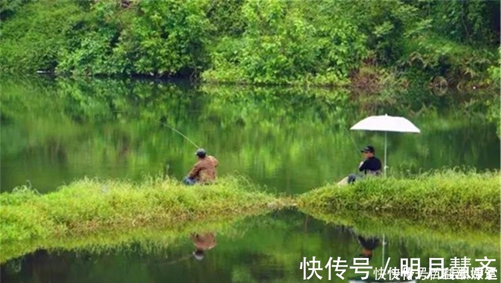 野钓|野钓选钓位最好找鱼道,这些地形都是鱼道,选对位置不愁钓不到鱼