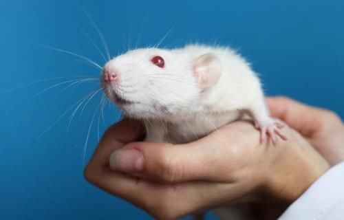  质量|睡眠质量不好怎么办，可以改善吗？两个步骤，带你远离失眠困扰