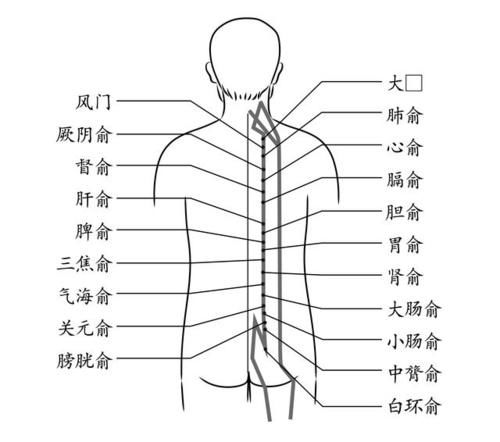 庚日|快到三伏天了，恰好是养生的好时间，说说“冬病夏治”！