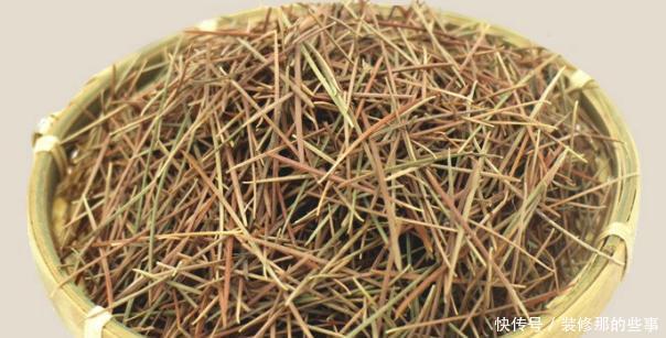 搜集的干松针,养花该怎么处理,如何用?