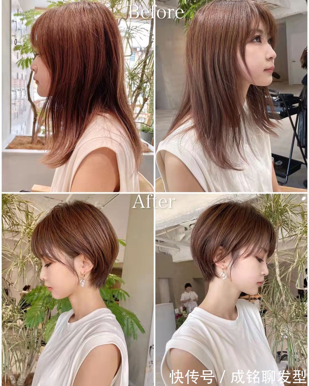 剪发|换对“精灵系”短发有多美,看完这8组对比就知道,小脸又减龄