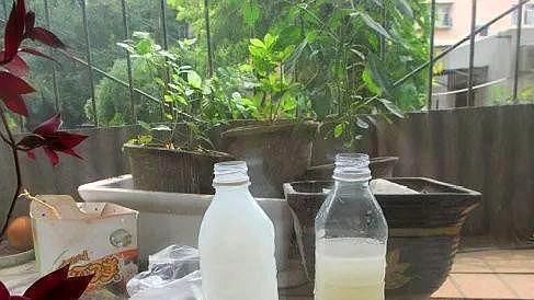 花卉|养花土“板结”,2种“水水”浇盆里,土壤疏松透气像“面包”