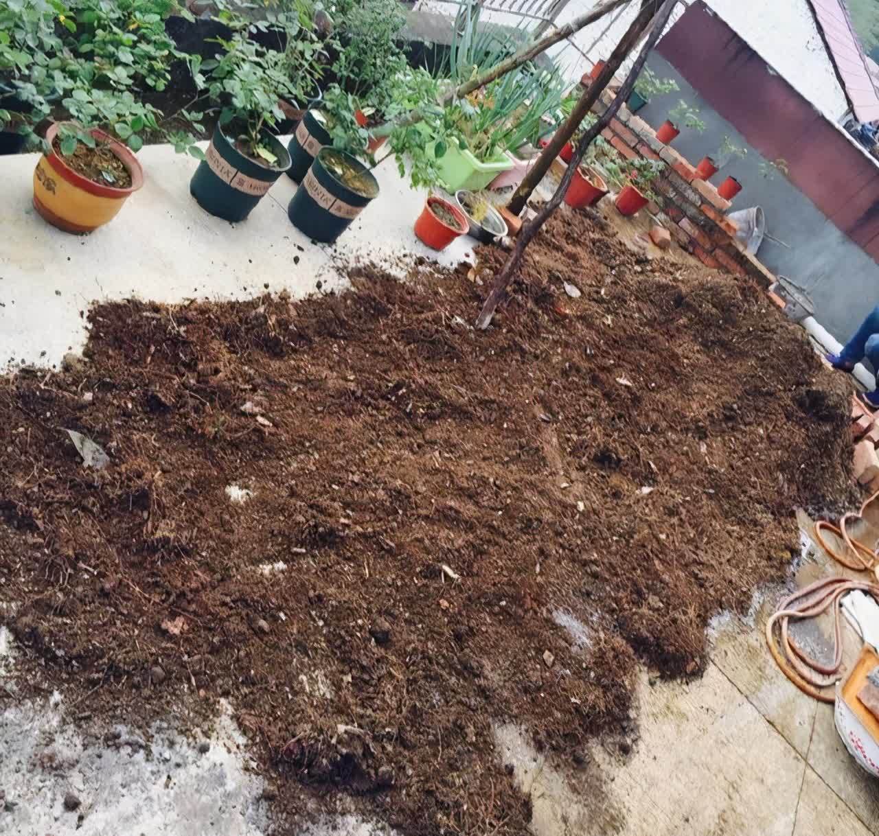 3种“东西”别浪费,路边一大推,一分钱不花,养花效果一级棒