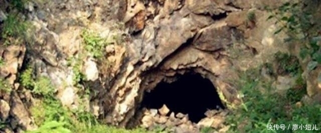 野人|中国农民被困日本雪山14年，被发现后成“野人”，只会说7个字！