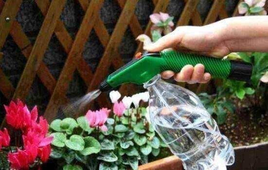 浇水|养花也要看基本功,这几个护根法不学会,养啥啥死