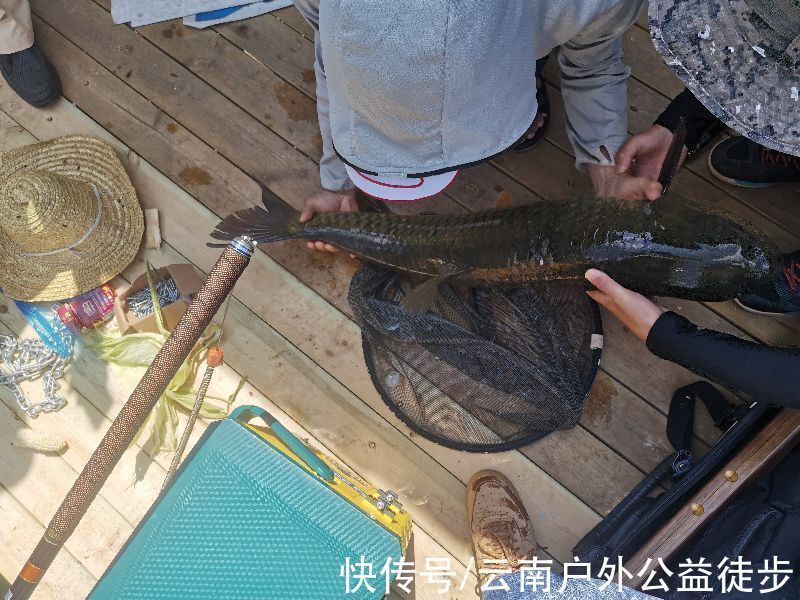 大草鱼|柴石滩水库体验新钓棚，三人钓一窝，钓获20斤米级草鱼，太过瘾了