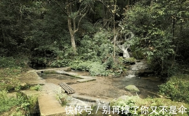 村庄|村庄出现神秘喊水泉，大声呐喊水量就会加大，还必须是本地方言？