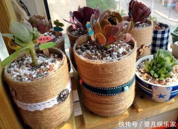 将塑料瓶剪剪、画画、缠麻绳,拿来养花,真有格调