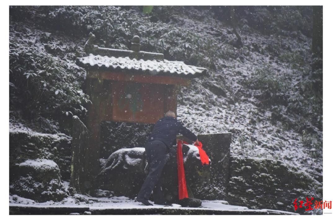 蒙顶山景区|虎年拜茶虎！生肖属虎游客免门票 春节3天四川蒙顶山景区游客增5成