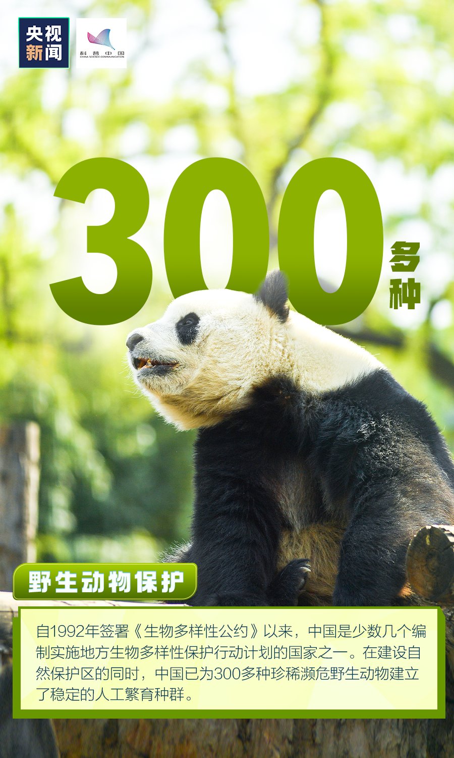 今天是世界地球日 数据里来看中国贡献