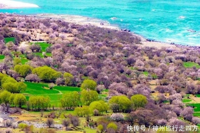 西藏什么时候旅游最好，怎么找自由行口碑好的当地向导，最佳旅游线路自由行，看攻略