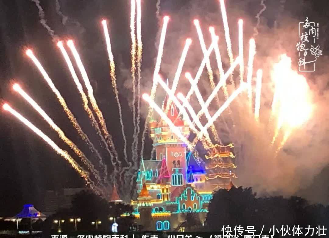 多肉,似星辰大海般的璀璨!