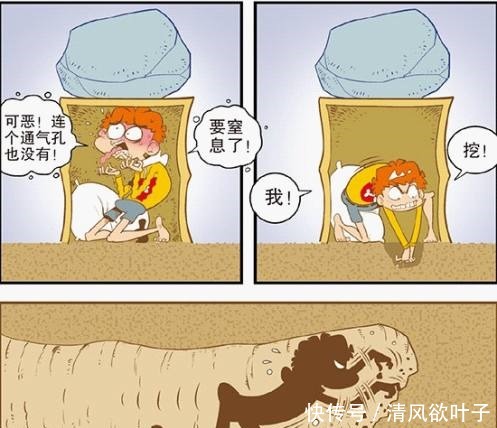 猫小乐阿衰逃生偶遇“天屎”“人体喷气飞机”惊现大海！